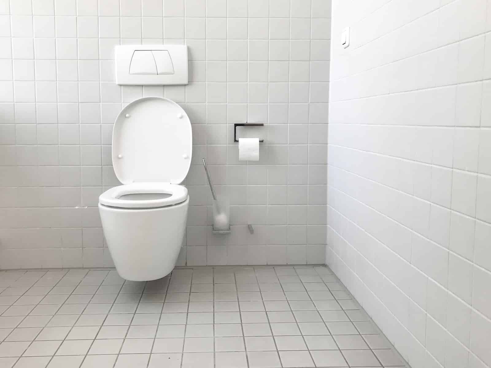 broyeur WC