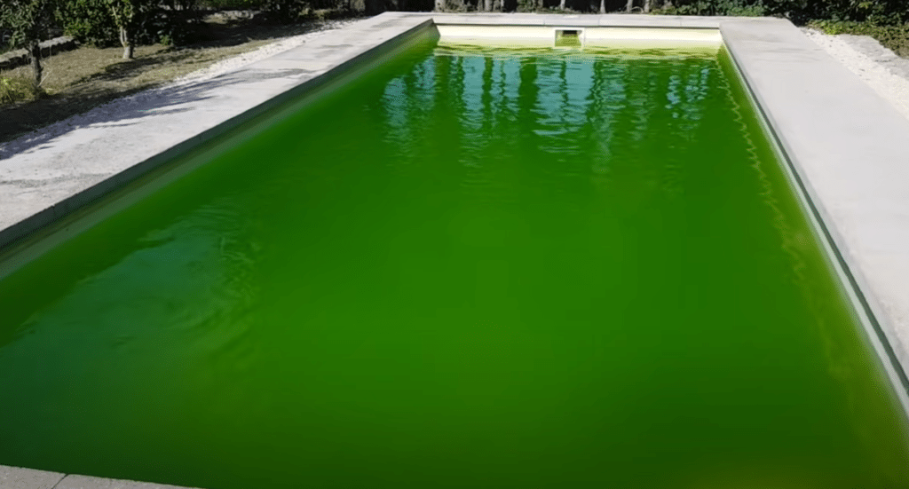 eau verte dans une piscine de maison