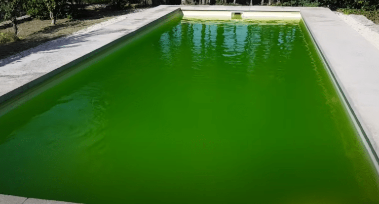 Eau verte : comment rapidement rendre l'eau de votre piscine bleue