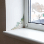 PVC vs aluminium : quel choix pour minimiser les ponts thermiques ?